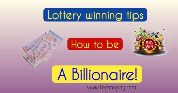 Lottery numbers prediction daily winning strategy tips select win pro