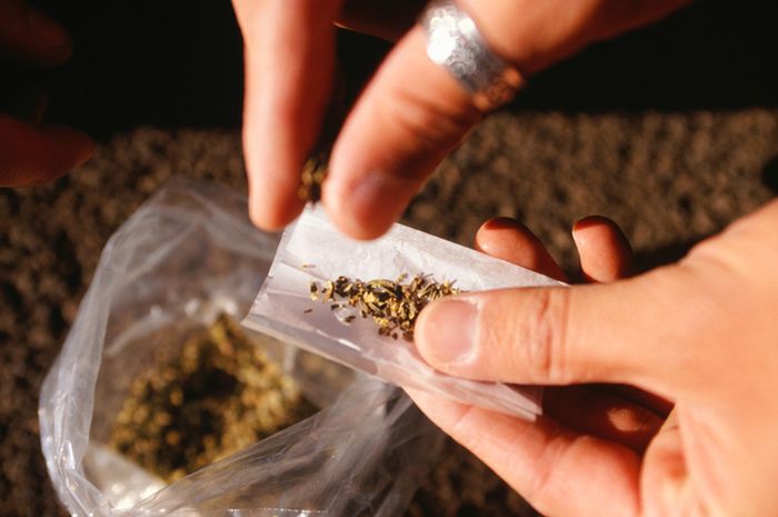 Bahaya Ganja