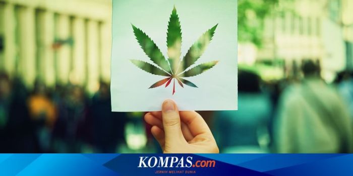 Bahaya Ganja
