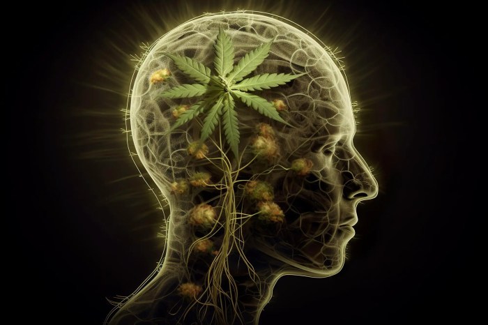 Marijuana term brain Marijuana term brain