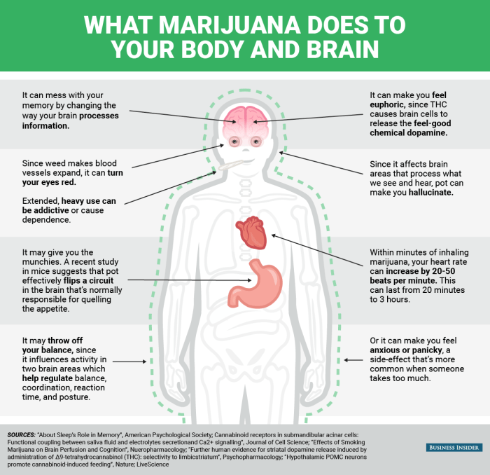 Efek Ganja pada Kesehatan Mental