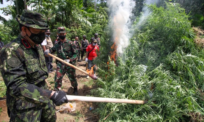 Sakit kepala ganja berbahaya sering sindonews berlebihan jika rebound berhenti secara obat sembuh pasien biasanya Sakit kepala ganja berbahaya sering sindonews berlebihan jika rebound berhenti secara obat sembuh pasien biasanya