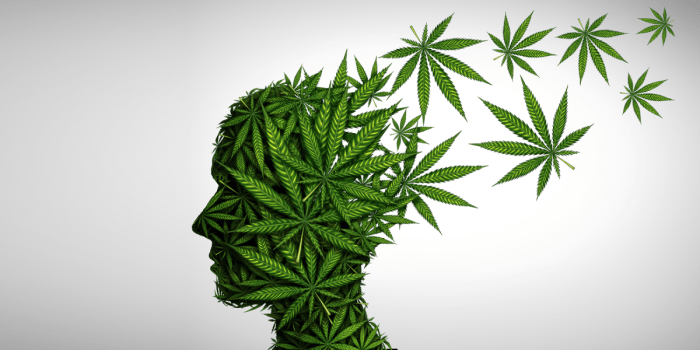 Efek Ganja pada Kesehatan Mental