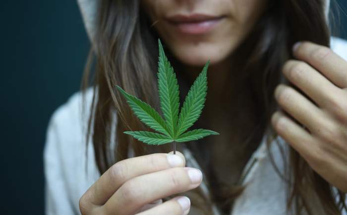 Efek Ganja pada Kesehatan Mental