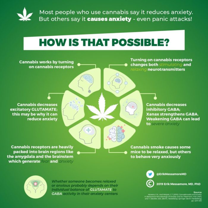 Cannabis Cannabis