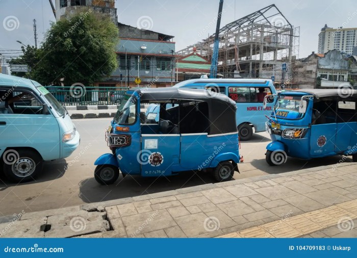 Tuk Tuk Adventure