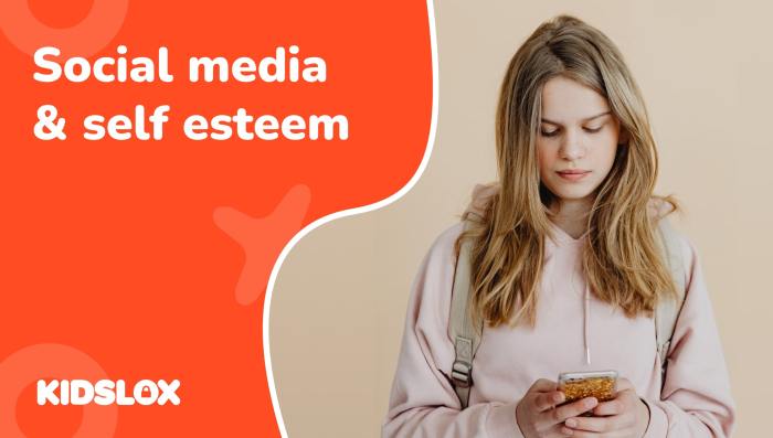 Sosial Media Influence