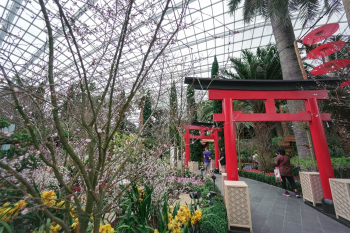 THINGS TO DO IN SINGAPORE THIS WEEKEND 17TH-19TH JUNE 2022! - Shout 10 Best Things to breaking Do in Singapore This Weekend in June 20 - 22 viral