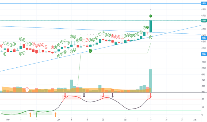 Ptro tradingview tjia steven
