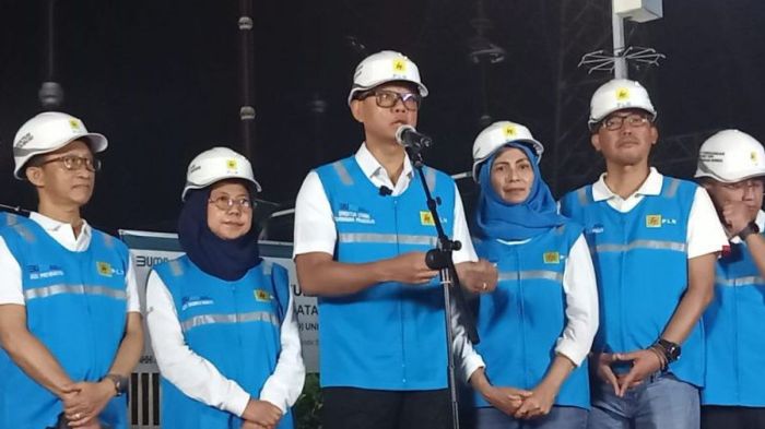 Penjualan Meningkat, Ini Upaya PLN Listriki Sektor Bisnis dan Industri ... Penjualan Meningkat, Ini Upaya PLN Listriki Sektor Bisnis dan Industri ...