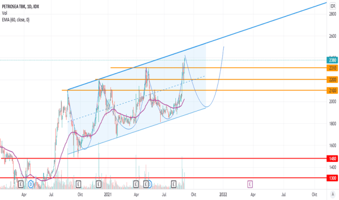 Ptro tradingview tjia steven