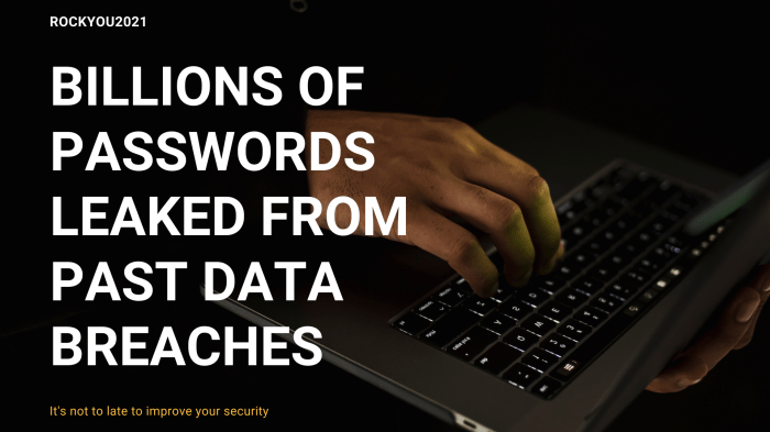 16 billion passwords exposed in record-breaking data breach: are you affected?