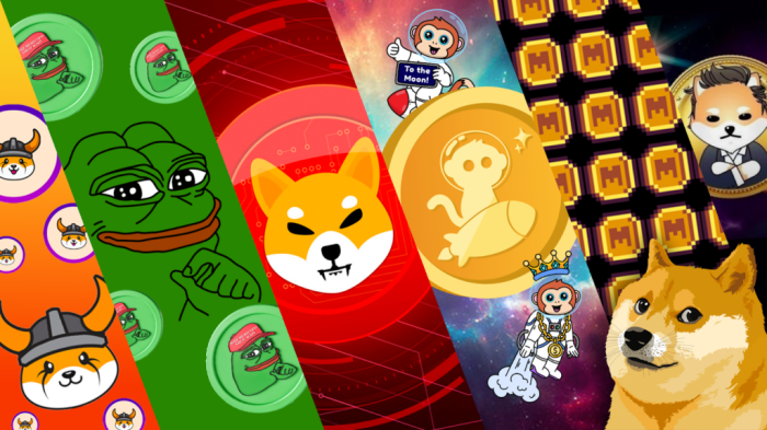 $Hammy Meme Coin
