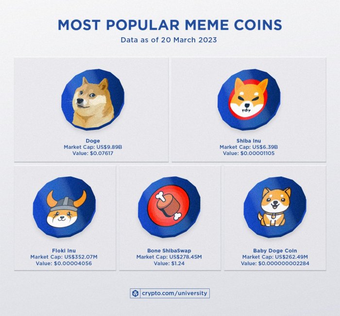 $Hammy Meme Coin